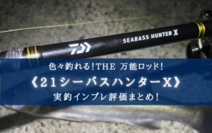 DAIWA（釣り） 【取り寄せ商品】 ダイワ 21 シーバスハンターX