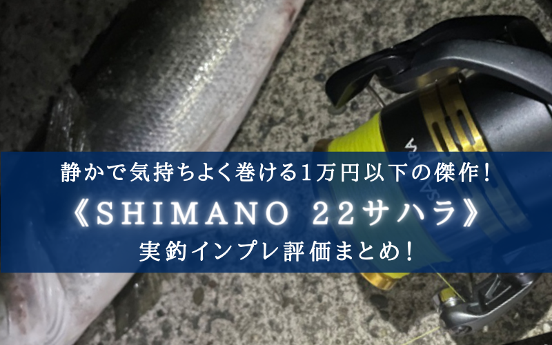 【1万円以下！】シマノ 22サハラ 実釣インプレ評価【デザイン以外は大満足！】