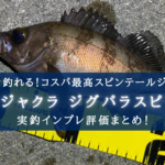 【安すぎて不安?】ジグパラスピンという激安スピンテールジグ【インプレまとめ】
