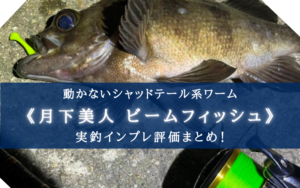 【メバル特攻!】月下美人 ビームフィッシュ 実釣インプレ評価