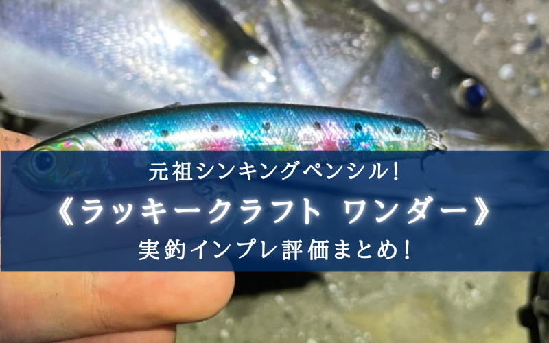 不朽の名作 ワンダー80の実釣インプレ 使い方まとめ 化石ルアーじゃない シアターカミカゼ