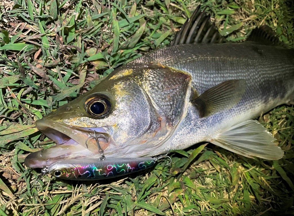 22年 リバーシーバス おすすめルアー ランキング 初心者でも使いやすい一軍ルアー シアターカミカゼ