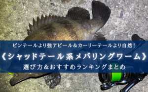 【2025年】メバリングのシャッドテールワーム おすすめ７選【選び方徹底解説！】