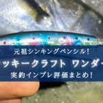 【不朽の名作!】ワンダー80の実釣インプレ・使い方まとめ【化石ルアーじゃない!】