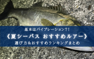 【2025年】夏のシーバスルアー おすすめランキング【シーバスは夏に攻略すべし!】