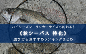 【2025年】秋のシーバスルアー おすすめランキング【ランカーも釣れやすい最盛期!】