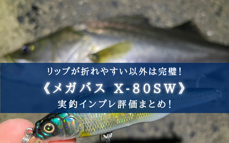 超絶万能】X-80SWの実釣インプレ・使い方まとめ【リップが折れやすい以外完璧】 | シアターカミカゼ