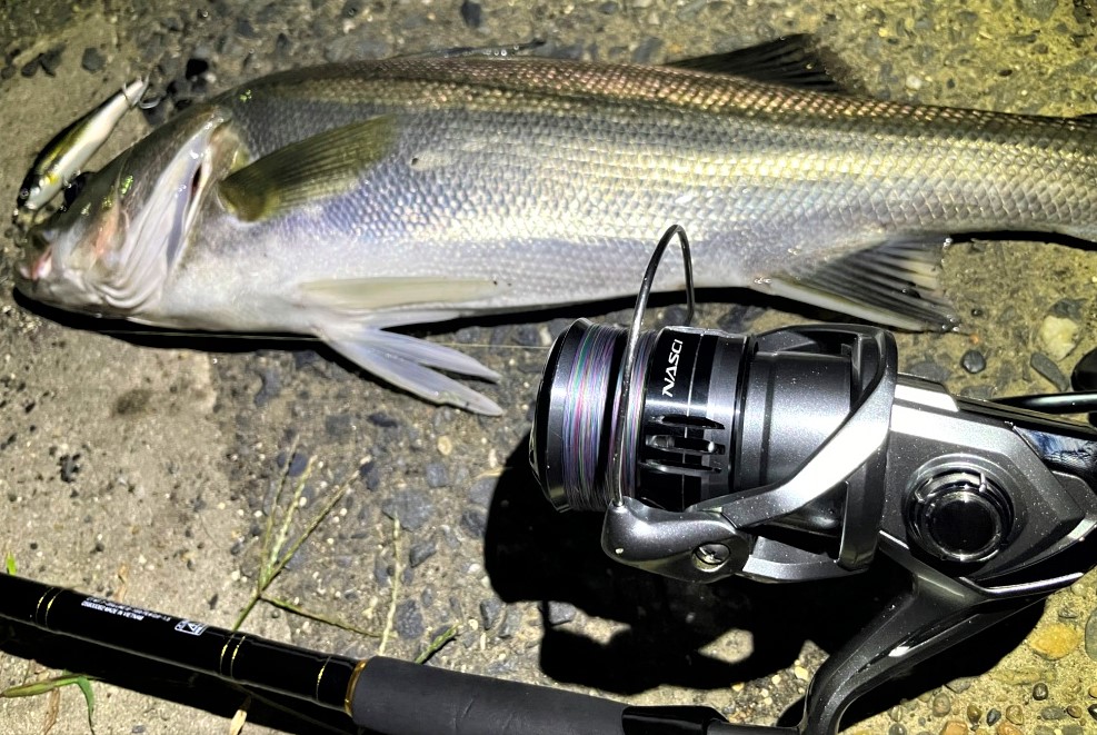 22年 シーバスリール 4000番台 おすすめランキング 選び方まとめ シアターカミカゼ