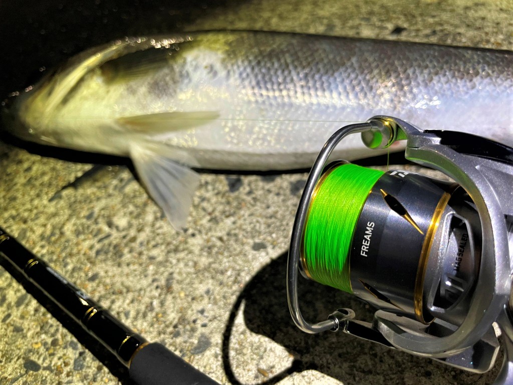 21フリームスlt fc2000s-xh リール ルアー シーバス ライトゲーム Amazon | ダイワ(DAIWA) 21 フリームス FC LT1000S | ダイワ