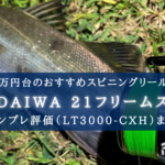 【安い?&頑丈!】21フリームスの実釣インプレ評価【デザインはまぁ悪くはないけど…】