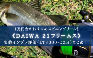 【安い？＆頑丈！】21フリームスの実釣インプレ評価【デザインはまぁ悪くはないけど…】