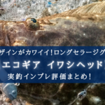 【抜群の信頼度!】エコギア イワシヘッドの実釣インプレ評価【使い方かんたん!】