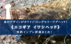 【抜群の信頼度！】エコギア イワシヘッドの実釣インプレ評価【使い方かんたん！】