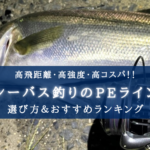 【2025年】シーバス特化のPEライン おすすめ16選&選び方まとめ【高飛距離・高コスパ!】