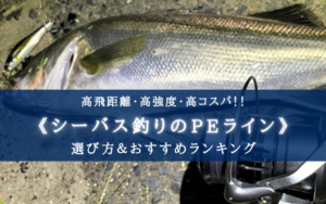 【2025年】シーバス特化のPEライン おすすめ16選＆選び方まとめ【高飛距離・高コスパ！】