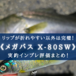 【超絶万能!】X-80SWの実釣インプレ・使い方まとめ【リップが折れやすい以外完璧】