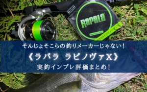 【安くて高性能！】ラパラ『ラピノヴァ』の実釣インプレ評価【迷ったら買っていいレベル】