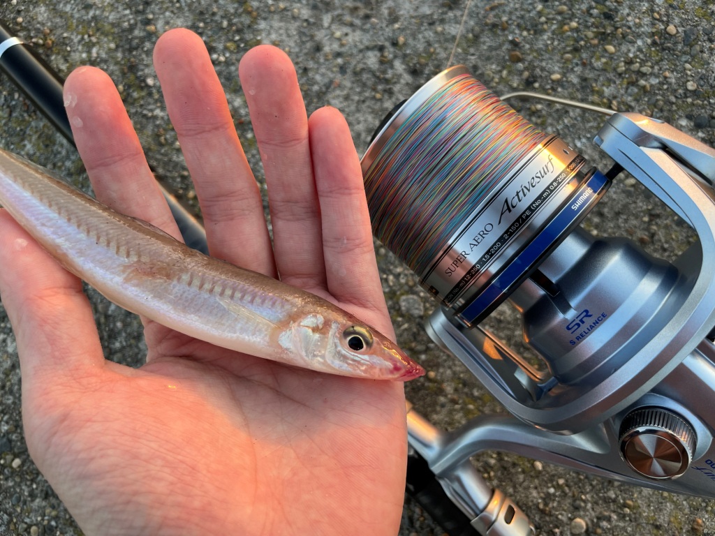 ダイワ(DAIWA) ジェットカゴ遠投SS 天秤用 M-12号 卓球ネット