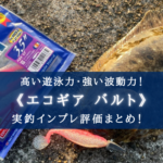 【超ヒラメ特化!?】エコギア バルトの実釣インプレ評価・使い方まとめ【名作ルアー!】
