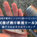 【2024年】キス釣りに!遠投リールおすすめ14選&選び方!【シロギス遠投に最適!】
