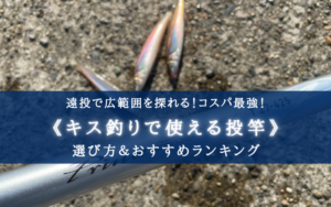 【2025年】遠投キス釣りに!投げ竿 おすすめランキング⑮&選び方!【高飛距離&コスパ最強】