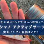 【コスパ最強?!】シマノ アクティブサーフの実釣インプレ評価まとめ【投釣り初心者に!】