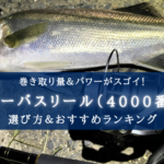 【2025年】シーバスリール(4000番台) おすすめランキング⑫&選び方まとめ
