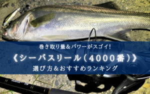 【2025年】シーバスリール(4000番台) おすすめランキング⑫＆選び方まとめ
