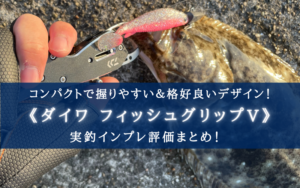 【納得のコスパ!】ダイワ フィッシュグリップVの実釣インプレ評価【尻手ロープ付き!】