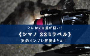 【ただ軽いだけ？】シマノ 22ミラベルの実釣インプレ評価【コスパは絶妙！流石は1万円前後！】