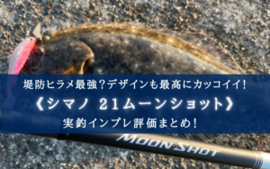 『21ムーンショット』インプレ