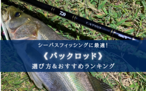 【2025年】シーバス特化！パックロッド おすすめランキング17選【軽量＆コンパクト＆頑丈！】