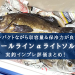 【座れるのに!】ダイワ クールラインαライトソルトの実釣インプレ評価【軽い!】