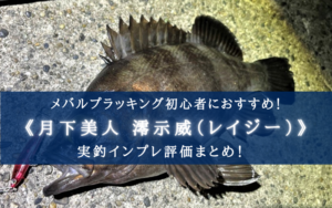【メバル特攻！】月下美人 澪示威（レイジー）Solidの実釣インプレ評価【Sとソリッドの違いも！】