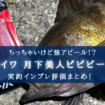 【メバル特攻!】月下美人ビビビームの実釣インプレ評価【おすすめカラーも!】