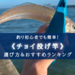 【2025年】色々釣れる!チョイ投げ竿 おすすめランキング⑮&選び方!【高飛距離&コスパ最強】