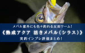 【反則級！】熟成アクア 活きメバルの実釣インプレ・使い方まとめ【もはや餌！】
