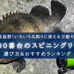 【2024年】万能モデル!2500番のスピニングリール おすすめ20選&選び方まとめ【コスパ最強】