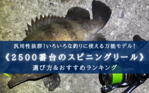 【2024年】万能モデル！2500番のスピニングリール おすすめ20選＆選び方まとめ【コスパ最強】