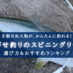 【2024年】泳がせ釣りのスピニングリール おすすめ13選&選び方まとめ【コスパ最強!】