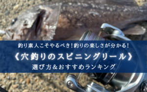 【2024年】穴釣りのスピニングリールおすすめランキング14選＆選び方まとめ【安い！】