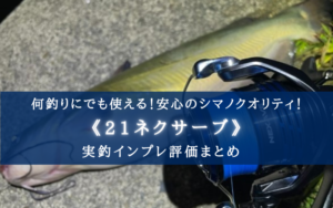 【この価格で?】シマノ 21ネクサーブの実釣インプレ評価まとめ【この性能!?】