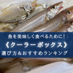 【2024年】容量・用途別!釣りのクーラーボックス おすすめ20選&選び方まとめ【コスパ最強!】