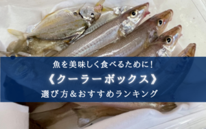 【2024年】容量・用途別！釣りのクーラーボックス おすすめ20選＆選び方まとめ【コスパ最強!】