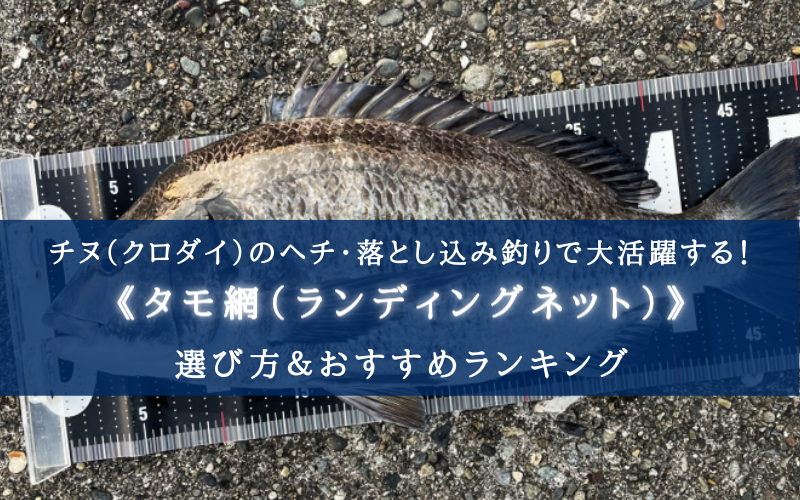 5.5m ライディングネット タモのえ 人間らしく 黒鯛 ヘチ釣り  