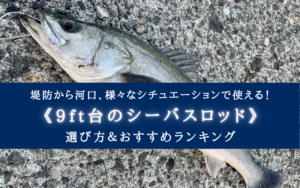 【2024年】9ft台のシーバスロッド おすすめランキング15選【扱いやすい長さ！】