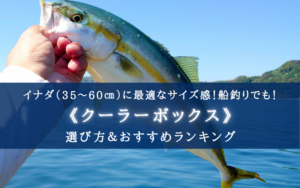 【2024年】イナダ釣り特化！クーラーボックス おすすめ14選【サイズ選びについても分かる！】