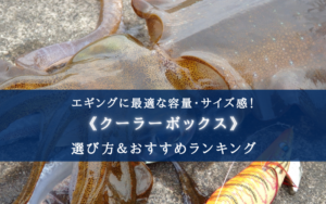 【2025年】エギング特化!クーラーボックス おすすめ18選【サイズ選びについても分かる!】