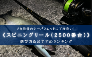 【2025年】シーバスリール（2500番）のおすすめランキング20選【コスパ最強！】