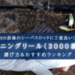 【2024年】シーバスリール(3000番)のおすすめランキング20選【コスパ最強!】